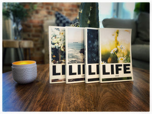 Life Devo Season Books (Bundle of 4)