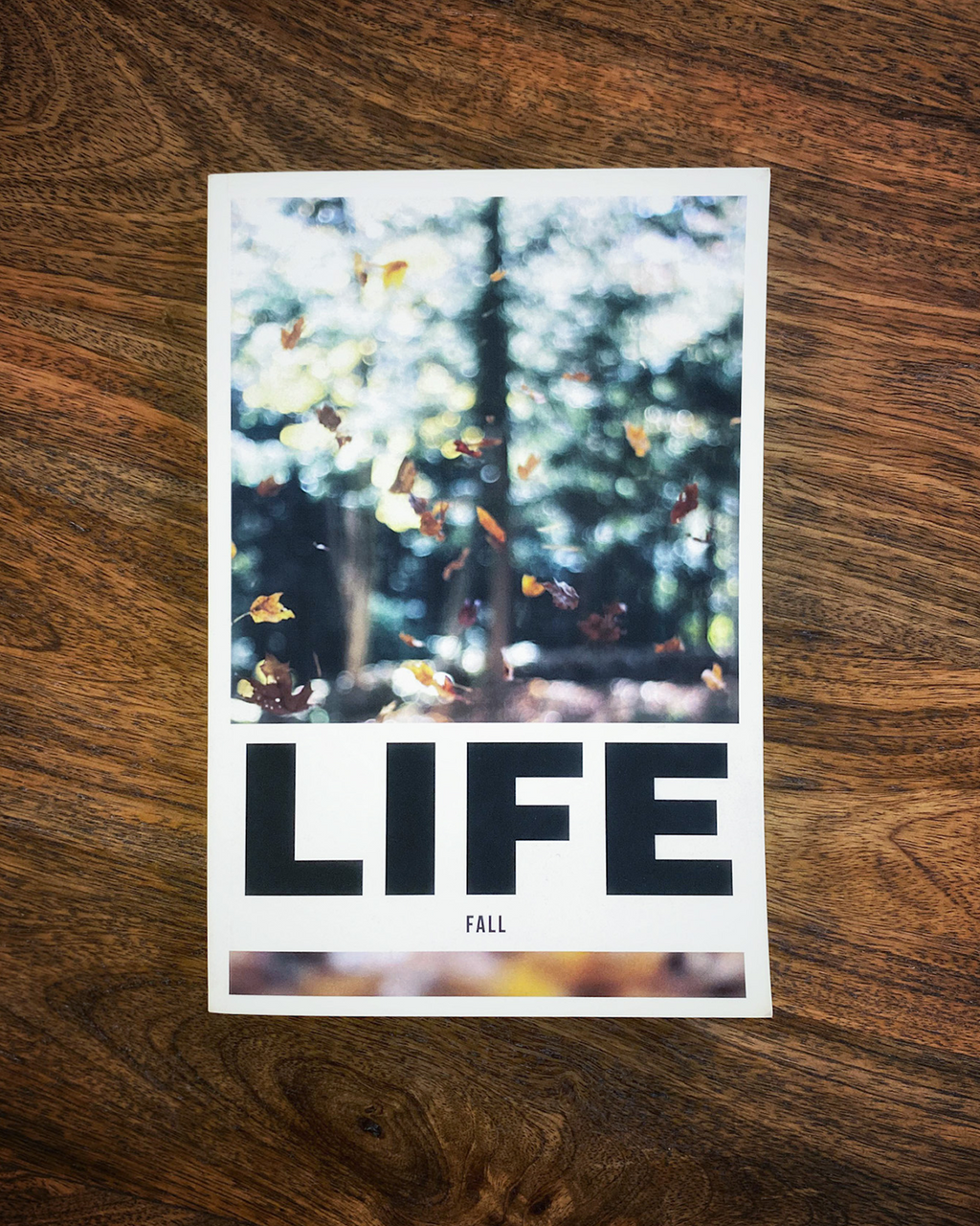 Seasonal Life Devo - Fall Edition