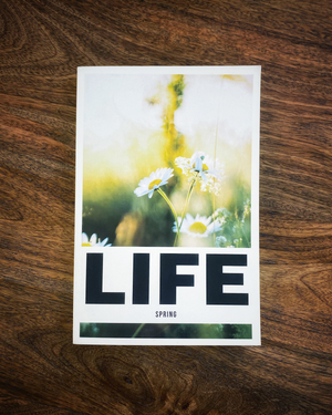 Seasonal Life Devo - Spring Edition